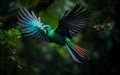 Resplendent Quetzal, Beautiful bird in nature tropic habitat.