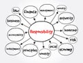 Responsibility mind map, business concept for presentations and reports Royalty Free Stock Photo