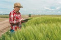 Responsible smart farming, using modern technology in agricultural activity Royalty Free Stock Photo