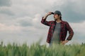 Responsible wheat farmer agronomist looking at his cultivated cereal crop agricultural field