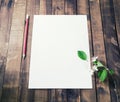 Responsive design mockup Royalty Free Stock Photo