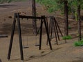 Rest area between Canarian pines in Teide National Park