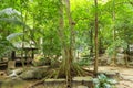 Rest area in the forest, Erawan waterfall National Park, Kanchanaburi, Thailand