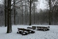 A rest area in the forest in winter Royalty Free Stock Photo