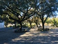 Rest area in the park of Sanctuary of Fatima