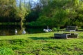 Rest area with a pond in spring with a rest bench, ducks in Rivierenhof - Deurne, Antwerp, Belgium