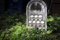 Rest in Peace RIP Gravestone Halloween Decoration with Skulls over green leaves in Halloween concept Royalty Free Stock Photo