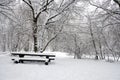 Rest place in the snowy forest with many trees with branches in snow around at overcast winter day Royalty Free Stock Photo