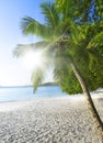 Rest and relaxation. White coral sand. Royalty Free Stock Photo