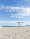 Rest under the palm trees on the beach