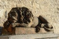 sleeping lion