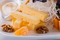Restaurant cheese plate - various types of cheeses with tangerine and walnut on white plate. Close up image with selective focus