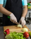 Restaurant chef making a salad Royalty Free Stock Photo