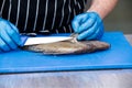 Restaurant chef preparing a sea bream fish for cooking. Royalty Free Stock Photo