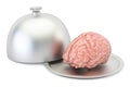 Restaurant cloche with brain, 3D Royalty Free Stock Photo