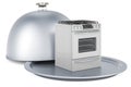 Restaurant cloche with gas range with oven. 3D rendering