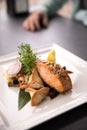 Restaurant dishes. Beautiful and tasty food on a plate.fried salmon with fresh salad on plate Royalty Free Stock Photo