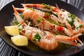 Restaurant meal. langoustine, scampi, Nephrops norvegicus with l Royalty Free Stock Photo