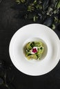 Restaurant Plate of Green Salad with Avocado, Cucumber, Spinach, Celery and Cucumber Jelly Top View