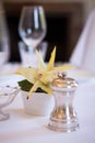 Restaurant table detail with pepper and flower Royalty Free Stock Photo