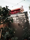 restaurant terrace garland with light bulbs summer veranda roof