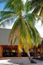 Restaurant on tropical island Royalty Free Stock Photo