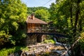 Restaurant in a vintage yard with wooden house, beautiful garden and much retro details