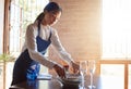 Restaurant waitress cleaning dishes from table after a meal. Customer service, diner and working in the food industry as