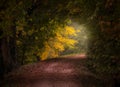 The Restera pathway at Quarto D`Altino in autumn. Royalty Free Stock Photo