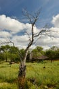 Resting area near Mankwe Lake, Pilansberg Game Reserve Royalty Free Stock Photo