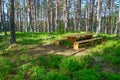 Resting area table and bench in a Swedish forest Royalty Free Stock Photo