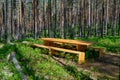 Resting area table and bench in a Swedish forest Royalty Free Stock Photo