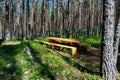 Resting area table and bench in a Swedish forest Royalty Free Stock Photo
