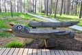 Resting bench - bird in park, Lithuania
