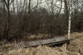 resting camping place in the woods with benches and trail in late autumn