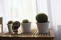 The resting corner of the house is displayed with cantas in white pots. Royalty Free Stock Photo