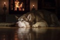 Resting by the fireplace husky dog. Siberian husky sleeping in dark room by burning fireplace. Low Angle View
