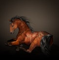 Resting Horse