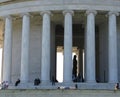 Resting at the Jefferson Memorial