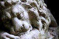 Resting Lion Royalty Free Stock Photo