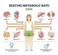 Resting metabolic rate or RMR as body calories consumption outline diagram