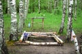 A resting place in a birch grove, a bench and a table made of trees. Deciduous forest