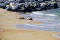Seals resting on the beach Royalty Free Stock Photo