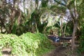 Resting Spot: Gwelup Wetlands