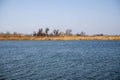 Restless water of the lake, the wind tends the dry yellowed grass to the ground and the bare trees