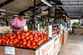 Restocking tomatoes at Durban Farms Market in Clanton