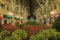 Holiday Lights Reston Town Center Northern Virginia