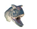 Restoration of a Carnotaurus (Carnotaurus sastrei) dinosaur isolated