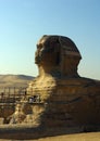 Restoration of the Great Sphinx of Giza in Egypt.