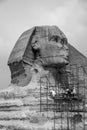 Restoration of the Great Sphinx of Giza in Egypt